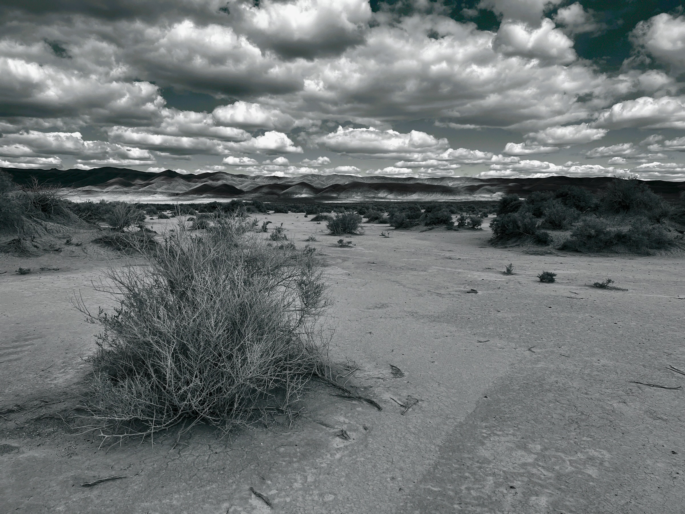 Vast cracked dry lake bed playa of the Alvord Desert beneath the shadow of Steens Mountain in Southeastern Oregon